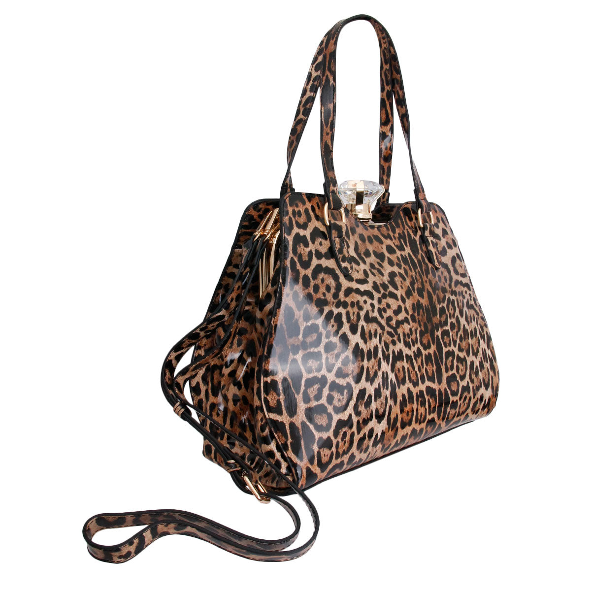 Shiny Leopard Frame Handbag Set